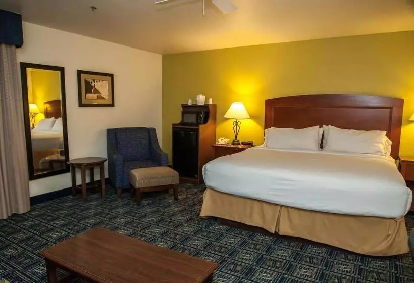 キングサイズベッドのエクゼクティブルーム, Holiday Inn Express Tucson Airport, An Ihg