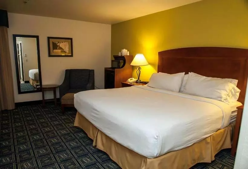 キングサイズベッドのエクゼクティブルーム, Holiday Inn Express Tucson Airport, An Ihg