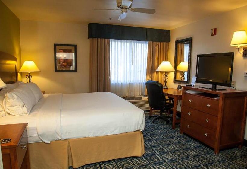 수피리어 룸, Holiday Inn Express Tucson Airport, An Ihg