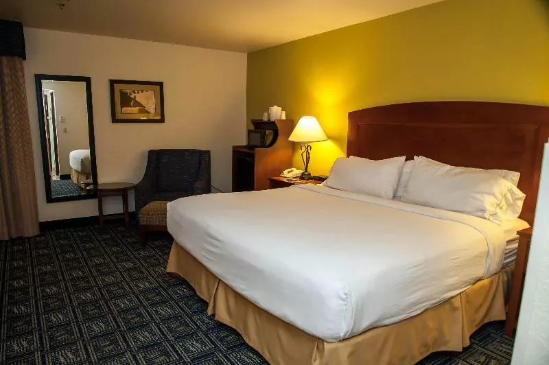 キングサイズベッドのエクゼクティブルーム, Holiday Inn Express Tucson Airport, An Ihg