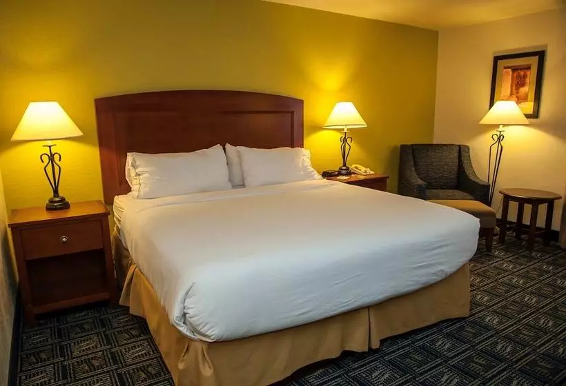 スタンダードルーム, Holiday Inn Express Tucson Airport, An Ihg