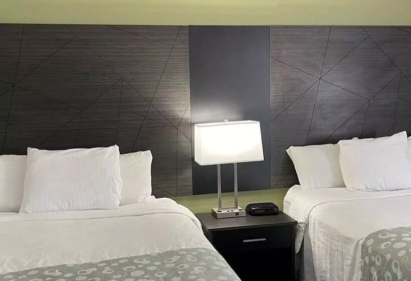 ２ダブルベッドのスタンダードルーム, La Quinta Inn By Wyndham Cincinnati North