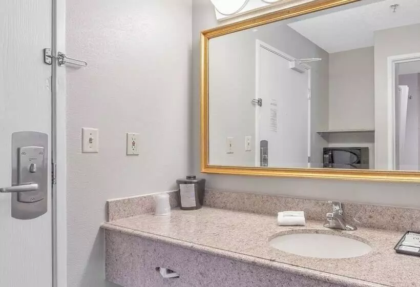 デラックスルーム, La Quinta Inn By Wyndham Cleveland Independence