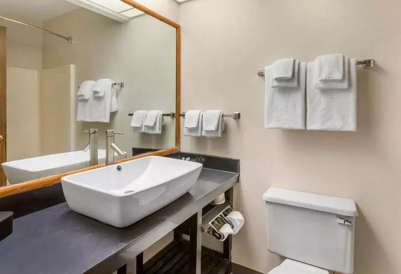 スタンダードルーム, Quality Inn & Suites Fillmore I15
