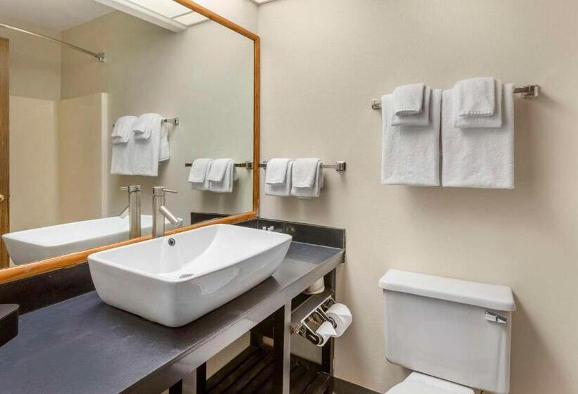 اتاق استاندارد, Quality Inn & Suites Fillmore I15