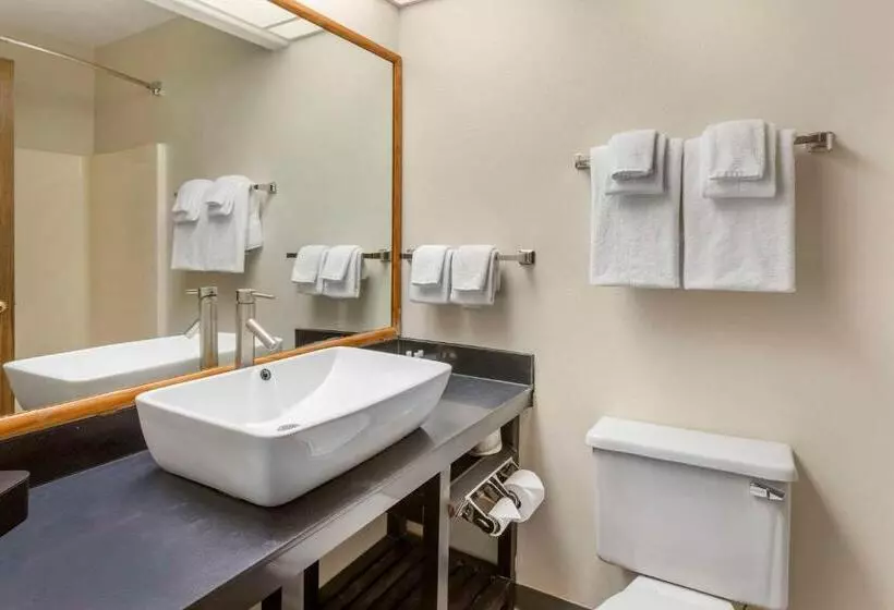スタンダードルーム, Quality Inn & Suites Fillmore I15