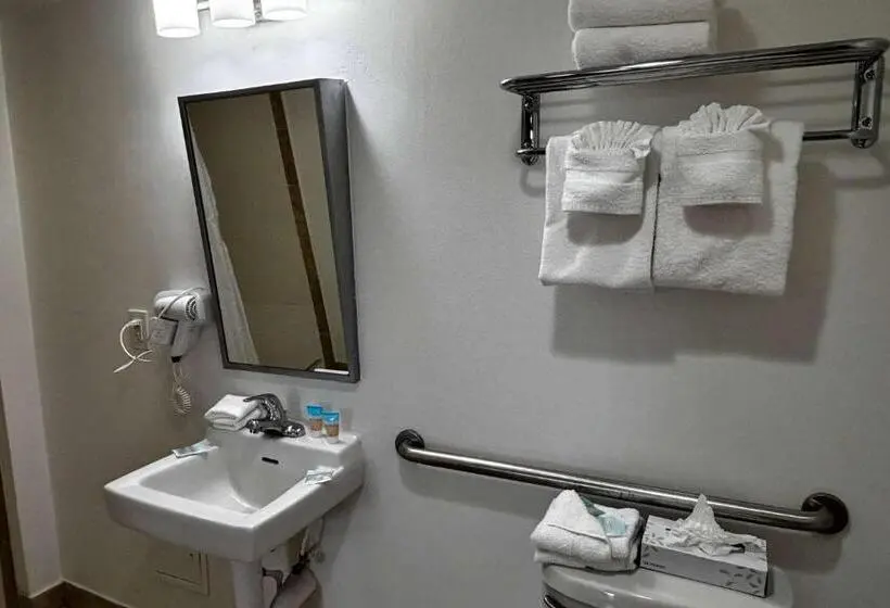 اتاق استاندارد با تخت بزرگ برای معلولان, Ramada By Wyndham Flamingo Water Park