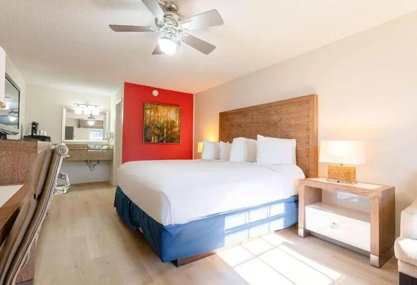 اتاق استاندارد با تخت بزرگ برای معلولان, Ramada By Wyndham Flamingo Water Park