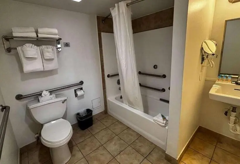 سوئیت با تخت بزرگ, Ramada By Wyndham Flamingo Water Park