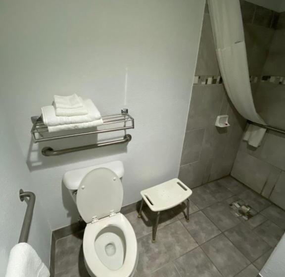 חדר סטנדרט, מיטת קינג, מותאם לאדם עם מוגבלויות, Super 8 By Wyndham Metropolis