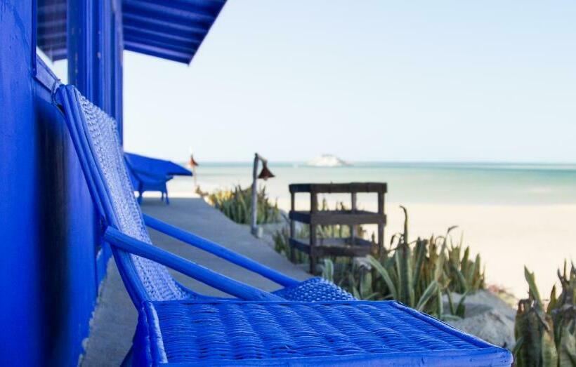 スタンダードバンガロー, Dakhla Attitude