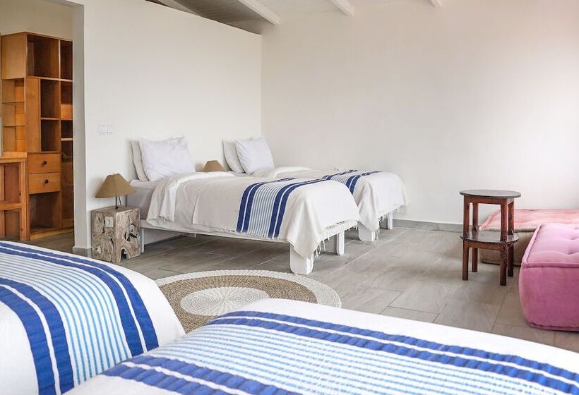 スタンダードバンガロー, Dakhla Attitude