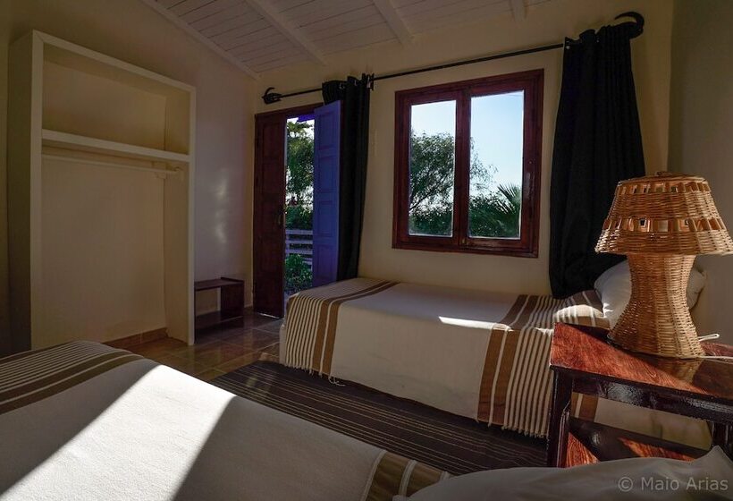 スタンダードバンガロー, Dakhla Attitude