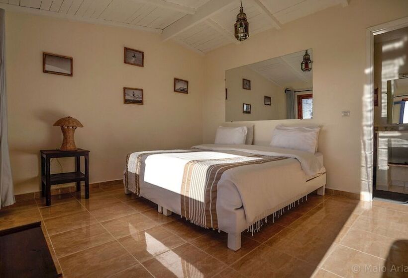 スタンダードバンガロー, Dakhla Attitude