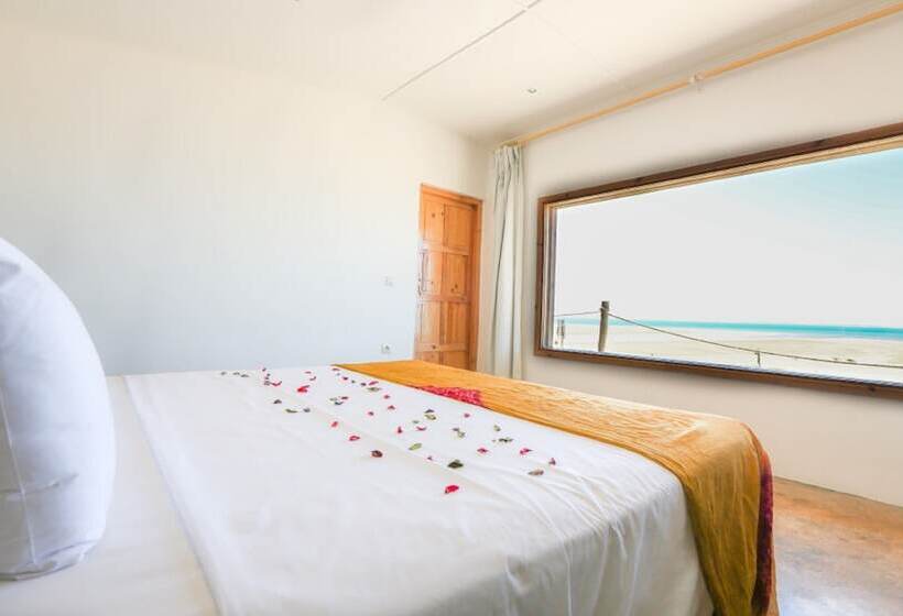 スタンダードバンガロー, Dakhla Attitude