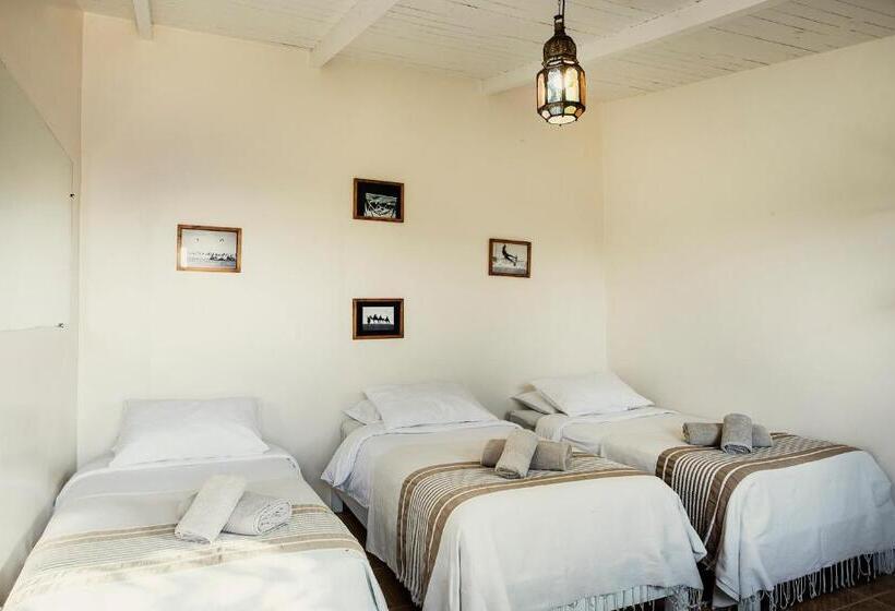 スタンダードバンガロー, Dakhla Attitude