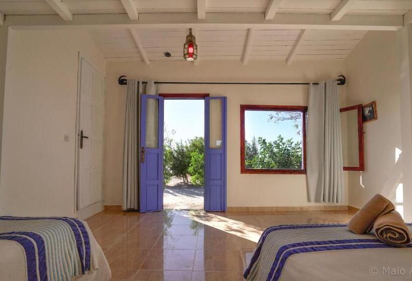 スタンダードバンガロー, Dakhla Attitude