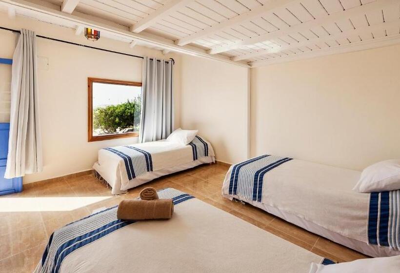 スタンダードバンガロー, Dakhla Attitude