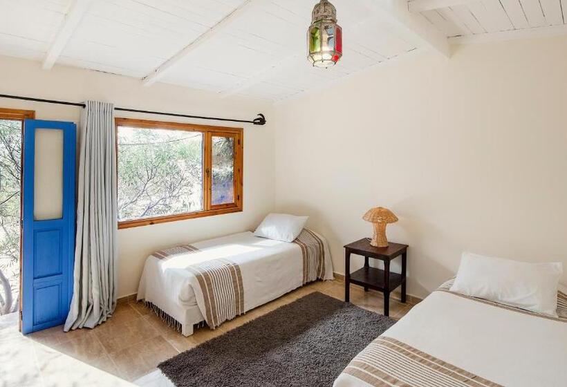 スタンダードバンガロー, Dakhla Attitude