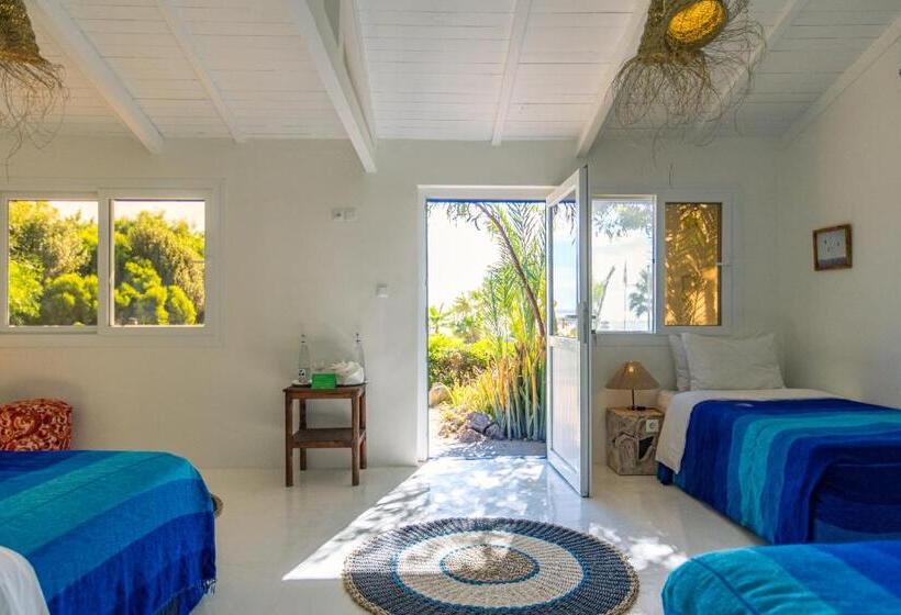 デラックスバンガロー, Dakhla Attitude