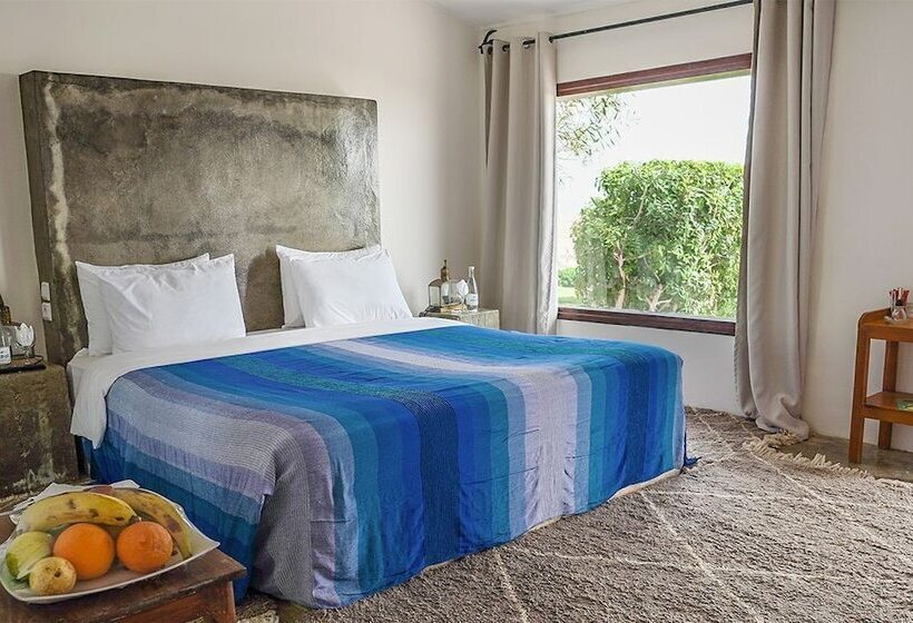 スタンダードバンガロー, Dakhla Attitude