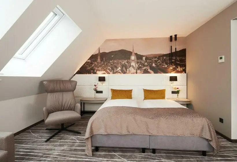 اتاق سوپریور, Boutiquehotel Am Stadtgarten