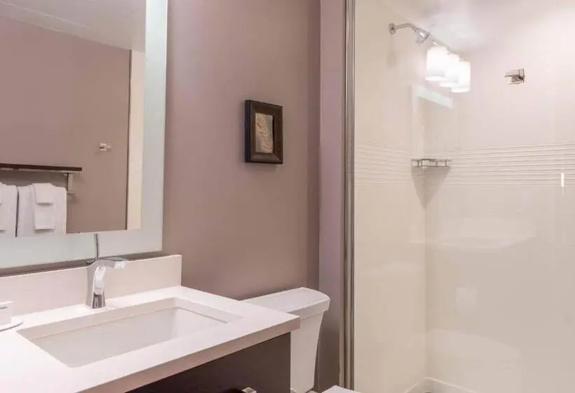 キングサイドベッドのスタンダードワンルーム, Towneplace Suites By Marriott Thousand Oaks Agoura Hills