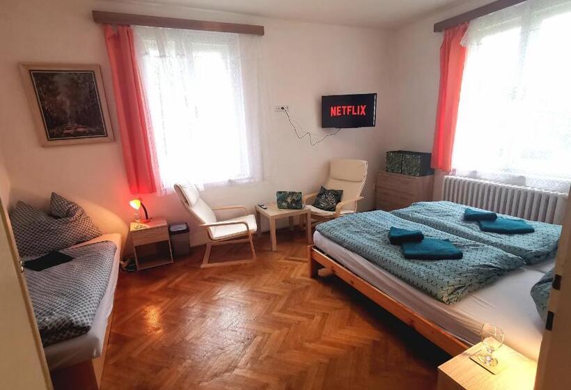 חדר סטנדרט נוף לגינה, Penzion U Juráše