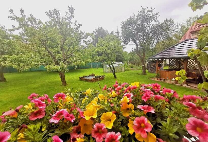 חדר סטנדרט נוף לגינה, Penzion U Juráše