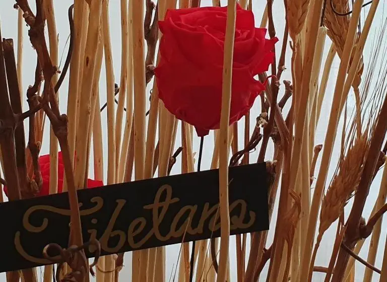 スタンダードルーム, Locanda Marco