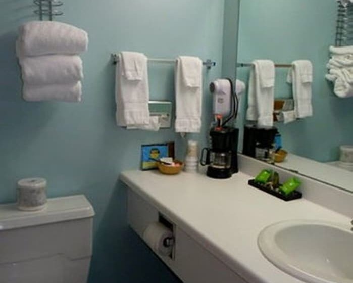 غرفه قياسيه سريرين مزدوجين, Baxter Park Inn