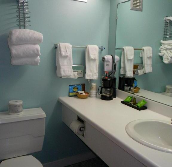 غرفه قياسيه سريرين مزدوجين, Baxter Park Inn