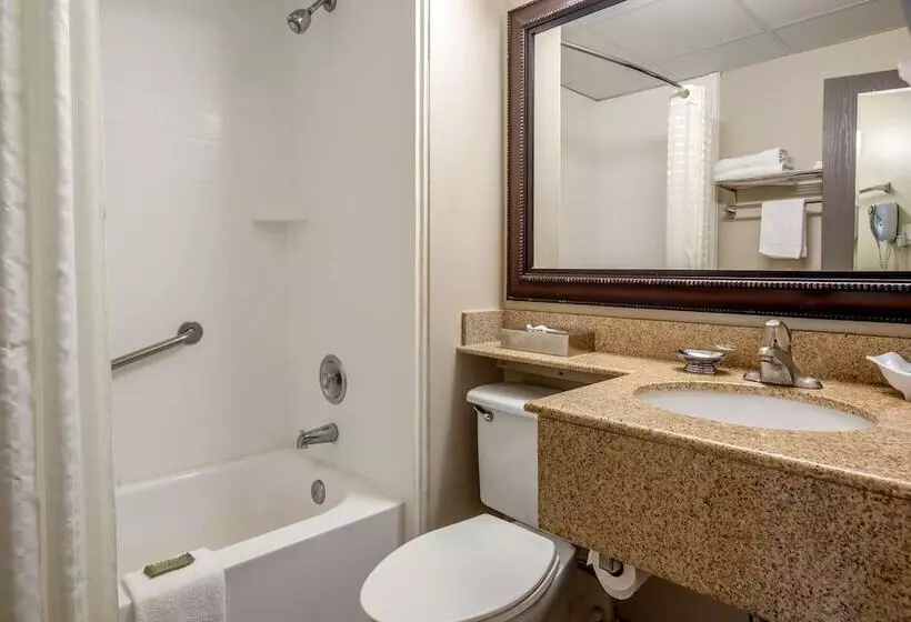 اتاق استاندارد با 2 تخت دوبل, Best Western Fort Washington Inn