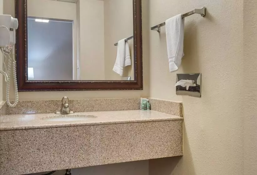 اتاق استاندارد با 2 تخت دوبل, Best Western Fort Washington Inn