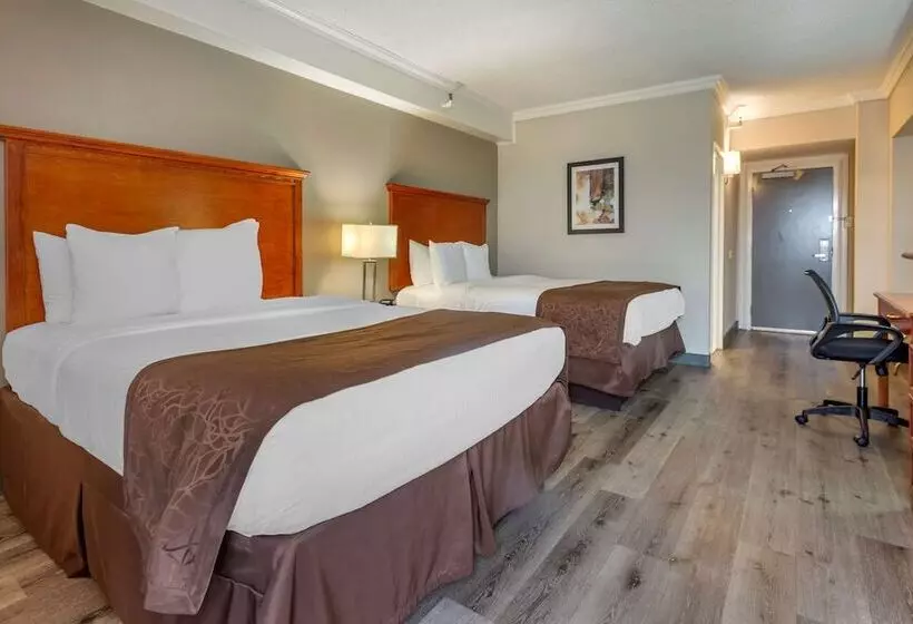 اتاق استاندارد با 2 تخت دوبل, Best Western Fort Washington Inn