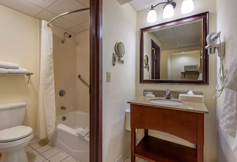 غرفه قياسيه سريرين مزدوجين, Best Western Gateway Grand