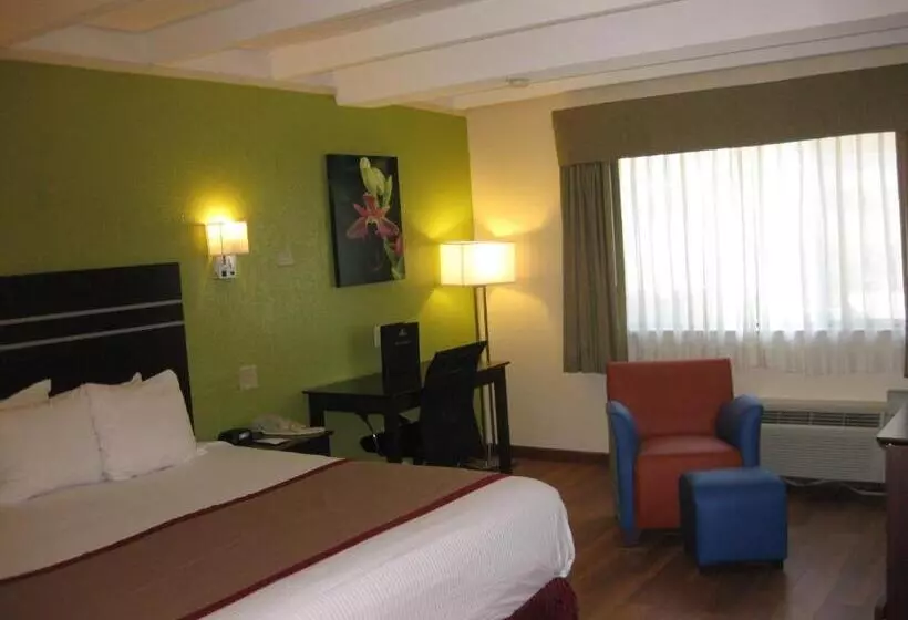 اتاق استاندارد با تخت بزرگ, Best Western Orlando West