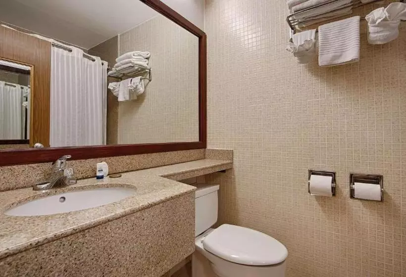 اتاق استاندارد با تخت بزرگ, Best Western Orlando West