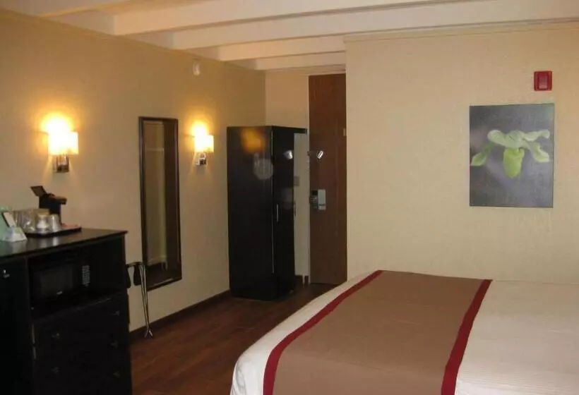 اتاق استاندارد با تخت بزرگ, Best Western Orlando West