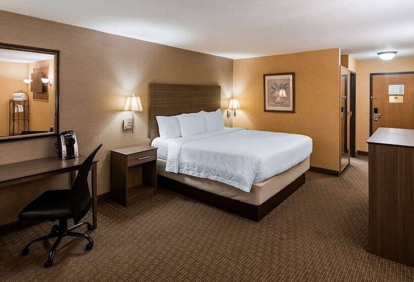 سوئیت با وان آب گرم, Best Western Plus North Canton Inn & Suites