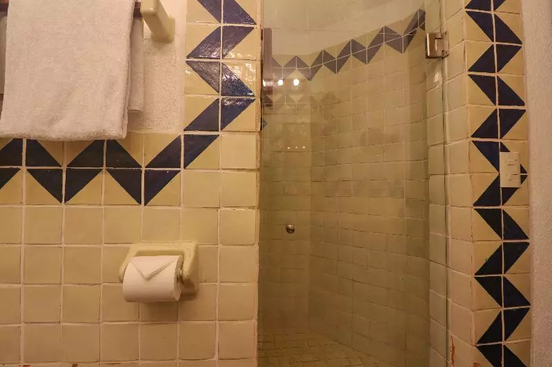 اتاق استاندارد با تخت بزرگ, Best Western Plus North Canton Inn & Suites