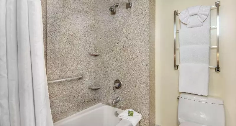 سوئیت با تخت بزرگ, Best Western Plus Palm Court