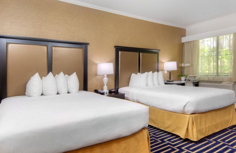 스위트, Best Western Plus Palm Court