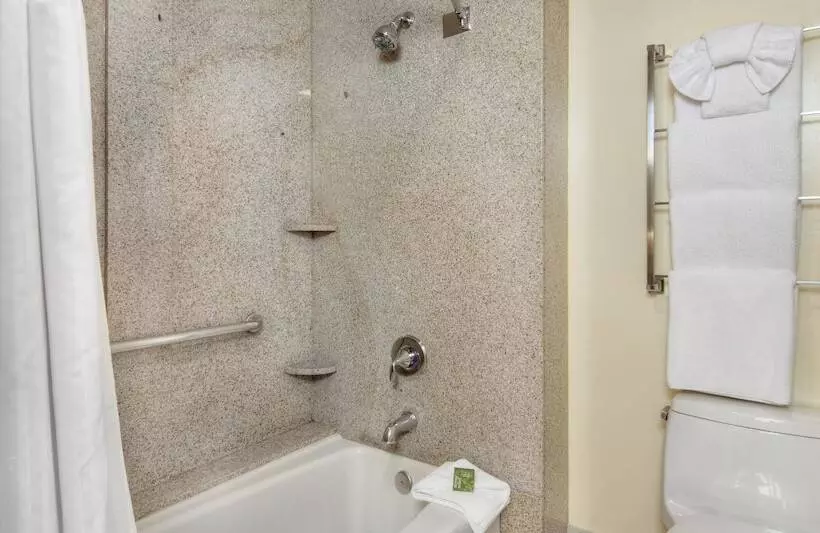 سوئیت با بالکن, Best Western Plus Palm Court