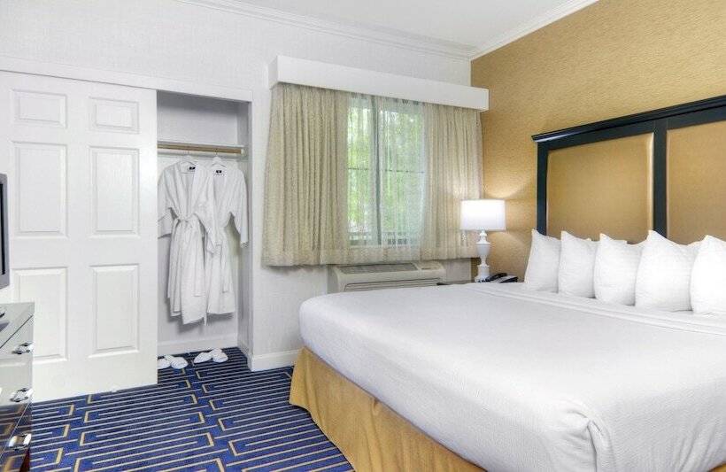 جناح مزوَّد بشرفة, Best Western Plus Palm Court