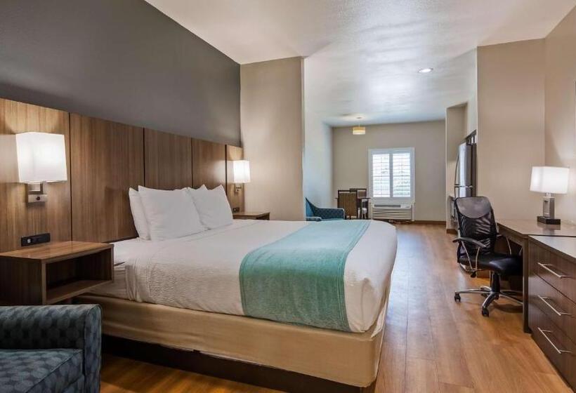 اتاق استاندارد با تخت بزرگ, Best Western Port Aransas