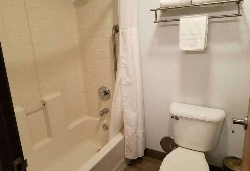 스탠다드 룸, Best Western Sandy Inn