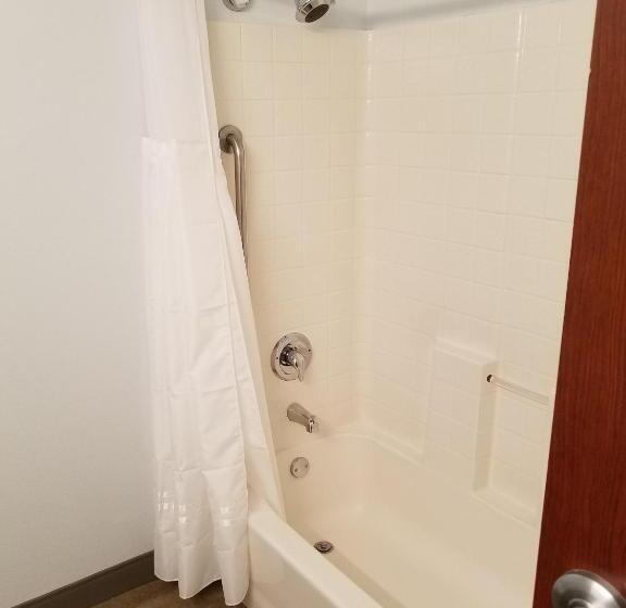 스탠다드 룸 킹사이즈 침대, Best Western Sandy Inn