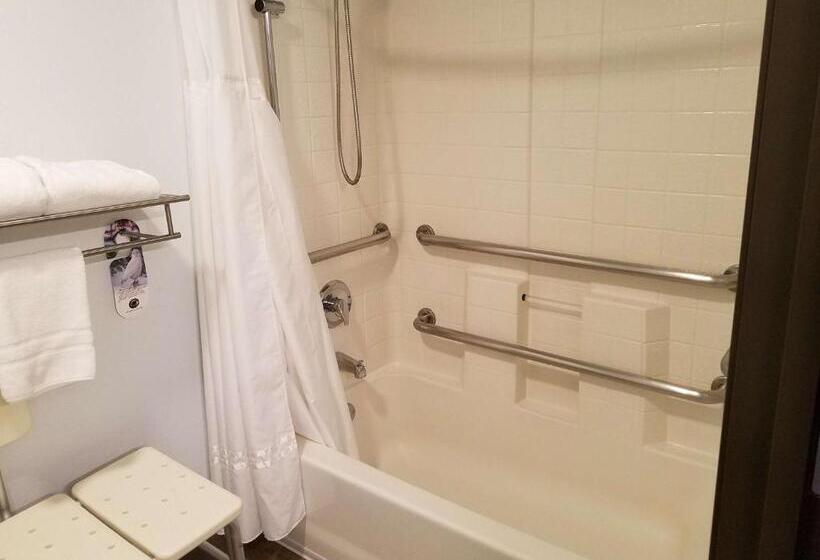 适合残疾人士使用的带超级大床的标准间, Best Western Sandy Inn