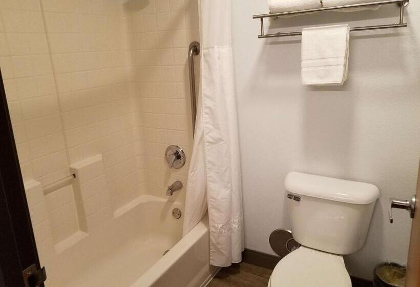 带大床的标准间, Best Western Sandy Inn